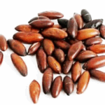 Castanha do Baru (100g)