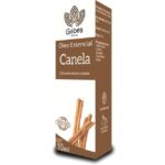 Oleo Essencial Canela 10ml - Gabea
