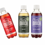 Kit 3 Kombuchas 300ml - Biozen